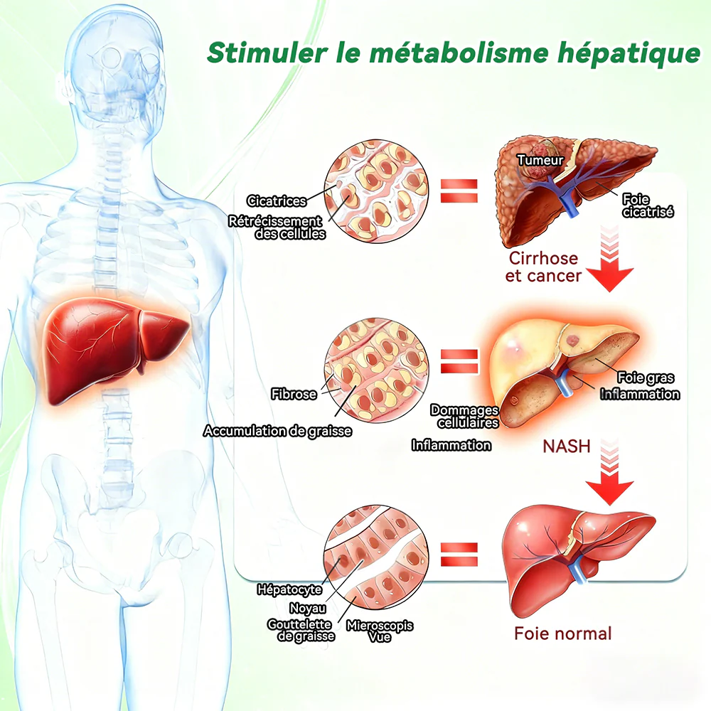 🔥Nouveautés : 80 % de réduction | Patch nano-micro-aiguilles 10-en-1 Purelora® L-carnitine, resvératrol × CoQ10 × capsaïcine (Une seule application par jour, résultats visibles en 7 jours) ✅ Favorise la gestion du poids, la fermeté de la peau - Image 11