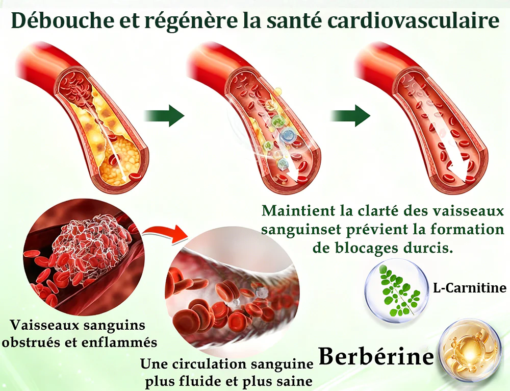 🔥Nouveautés : 80 % de réduction | Patch nano-micro-aiguilles 10-en-1 Purelora® L-carnitine, resvératrol × CoQ10 × capsaïcine (Une seule application par jour, résultats visibles en 7 jours) ✅ Favorise la gestion du poids, la fermeté de la peau - Image 7