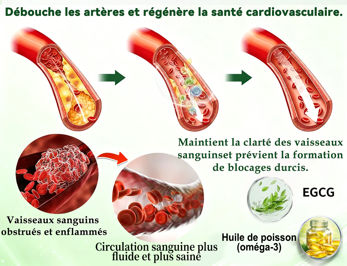 🔥 Nouveauté | Patch nano-micro-aiguilles Purelora® à la berbérine, au vinaigre de cidre de pomme et à l’EGCG 10-en-1 : brûle les graisses tenaces • lisse les rides • favorise le confort articulaire. Chaque patch agit — résultats visibles dès 7 jours. - Image 9