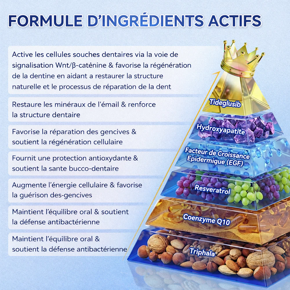 🏥 Pharmacie en ligne | purelora® 😁 Bandes orales à dissolution rapide Tidéglusib pour la réparation des dents et des gencives 🦷 - Image 3